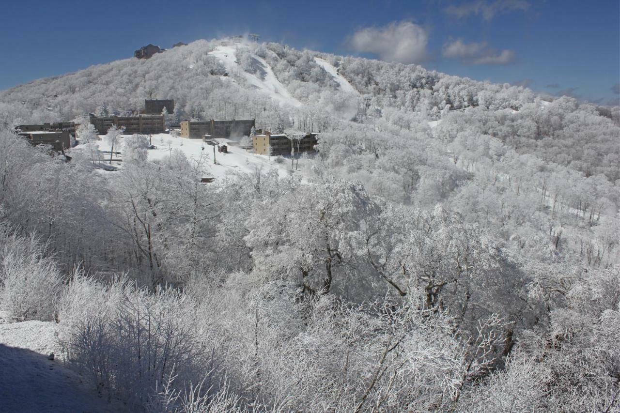 Sugar Ski 11-202 シュガー・マウンテン エクステリア 写真